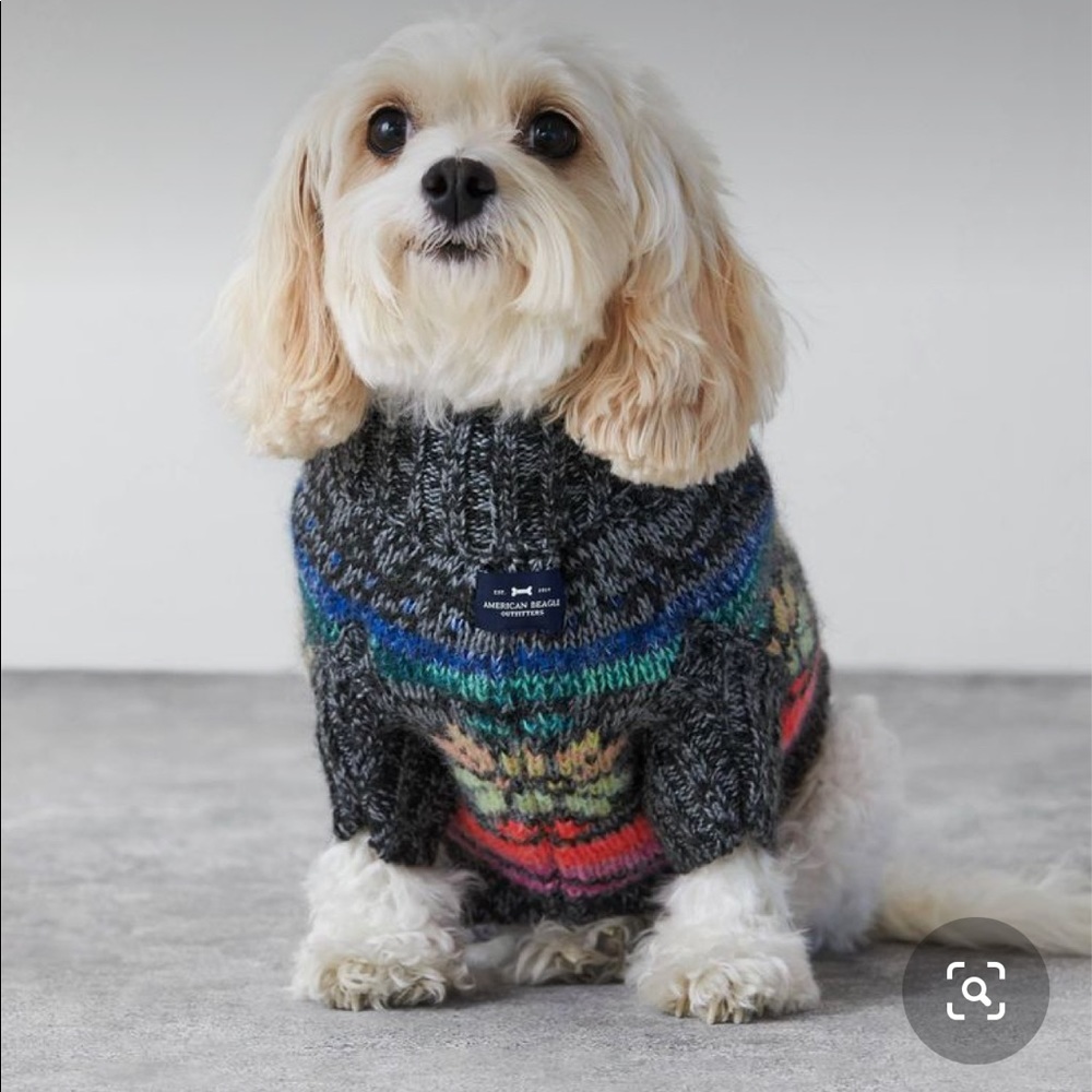 ISO American Beagle ABO neon fairisle jegging sweater size XL